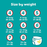 Pieluchy Pampers Baby-Dry, rozmiar 8, 22 sztuki, 19 kg+
