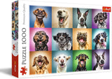 Układanka - "1000" - Śmieszne portrety psów Puzzle Naty Shop Śmieszne portrety psów