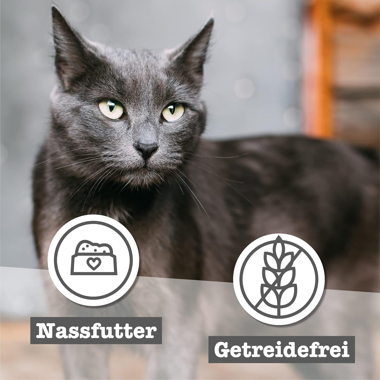 catz finefood Senior Collection Katzenfutter nass - Premium Nassfutter für Ihre Senior Katze - getreidefrei, ohne Zucker, hoher Fleischanteil, Witaminy i minerały (6 x 200g dawka)