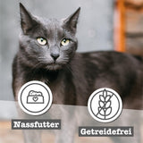 catz finefood Senior Collection Katzenfutter nass - Premium Nassfutter für Ihre Senior Katze - getreidefrei, ohne Zucker, hoher Fleischanteil, Witaminy i minerały (6 x 200g dawka)
