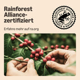 by Amazon Lungo Kaffee-Kunststoffkapseln, kompatybilny z Nespresso, 20 Stück, Packung mit 1 – zertifiziert Rainforest Alliance