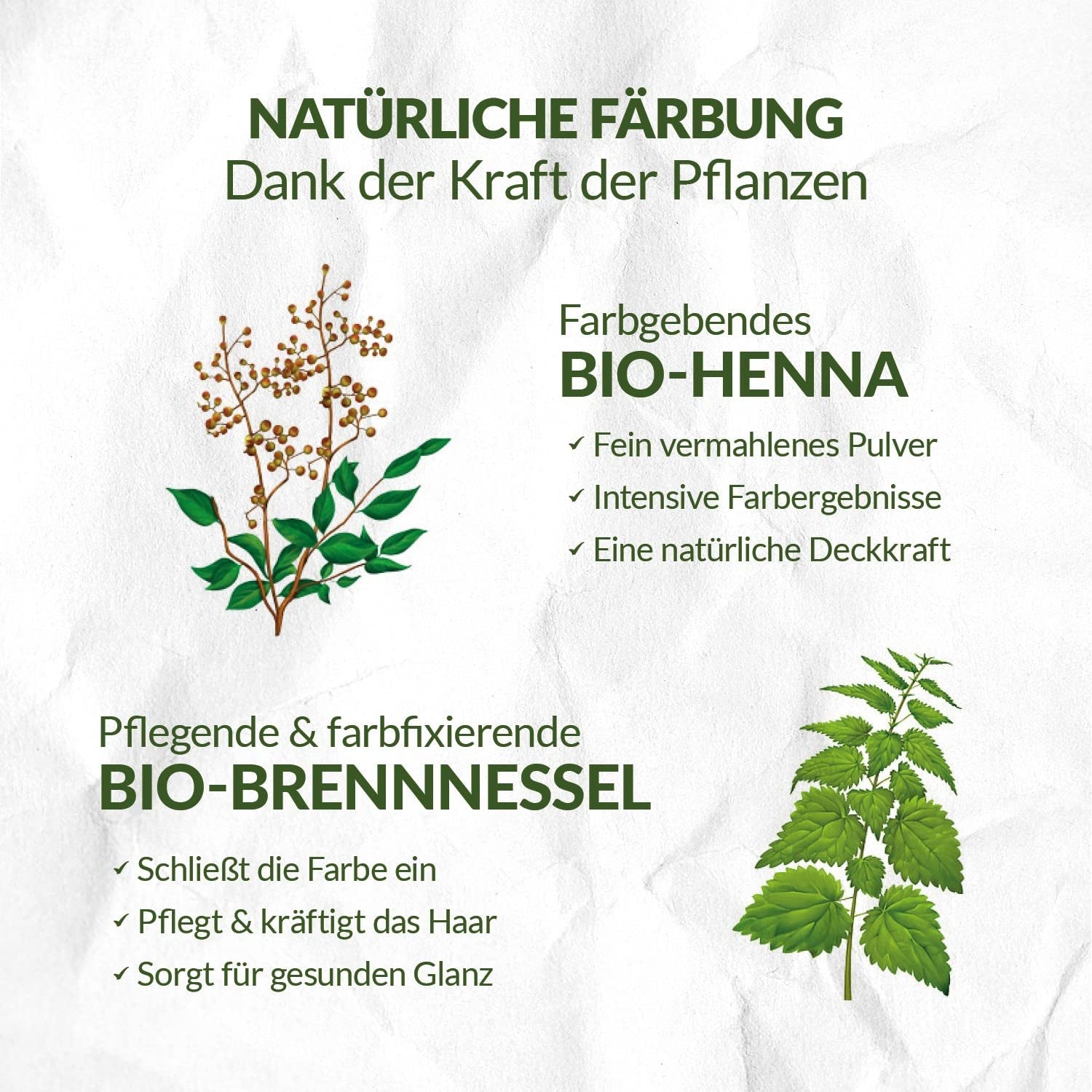 LOGONA Natural Cosmetics Ziołowa odżywcza farba do włosów, organiczna henna w proszku Wegańska farba do włosów dla intensywnego koloru i blasku, ziołowa farba do włosów w kolorze Miedziany Blond (Blond), 1 x 100g Naty Shop Farba do włosów