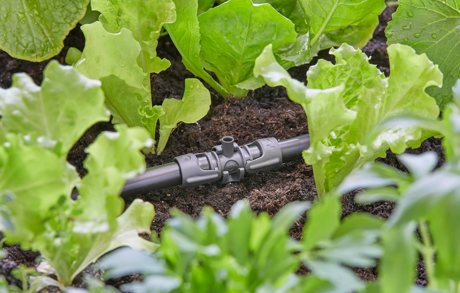 Trójnik Gardena Micro-Drip-System do dysz zraszających: połączenie rur 13 mm z dyszą zraszającą, automatyczne nawadnianie roślin, szybka i łatwa technologia łączenia, wielokrotnego użytku (13206-20)