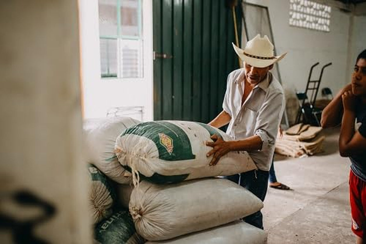 Tosepan Kawa Arabica z tropikalnego lasu Meksyku 1000 g