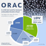 LOOV Organiczny proszek z dzikiej borówki - dostawa na 29 dni 171 g Nadaje się do koktajli i śniadań Liofilizowane Europa Północna Bez dodatku cukru Naty Shop Produkty suszone