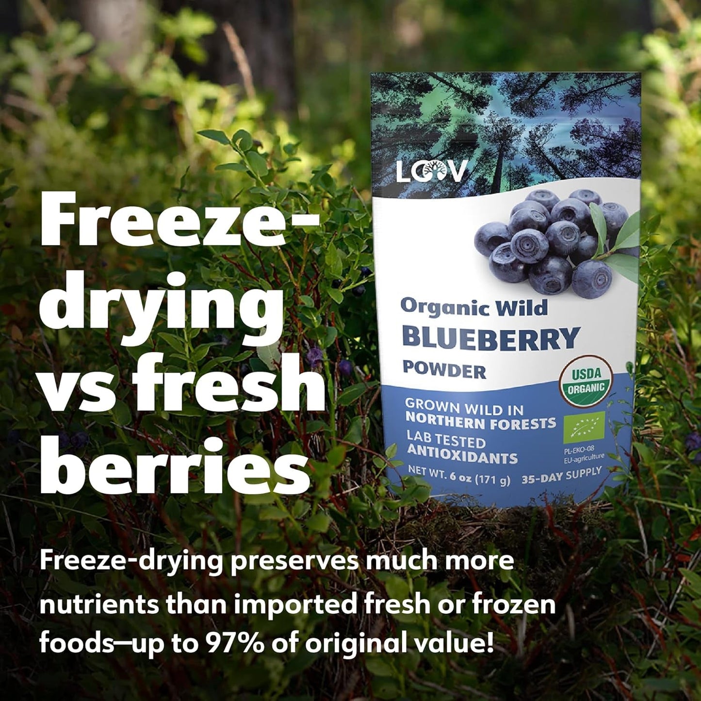 LOOV Organiczny proszek z dzikiej borówki - dostawa na 29 dni 171 g Nadaje się do koktajli i śniadań Liofilizowane Europa Północna Bez dodatku cukru Naty Shop Produkty suszone