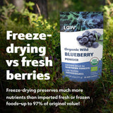 LOOV Organiczny proszek z dzikiej borówki - dostawa na 29 dni 171 g Nadaje się do koktajli i śniadań Liofilizowane Europa Północna Bez dodatku cukru Naty Shop Produkty suszone