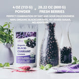 LOOV Organiczna czarna porzeczka w proszku, wykonana w 100% z całych czarnych porzeczek, liofilizowanych i sproszkowanych organicznych jagód, uprawianych w Europie Północnej, bez dodatku cukru, 113g Naty Shop Produkty suszone