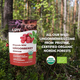 LOOV organiczny proszek jagodowy, wyprodukowany w 100% z całych, liofilizowanych jagód dzikich zebranych w lasach północnej Europy, 113g, bez dodatku cukru Naty Shop Produkty Odwodnione