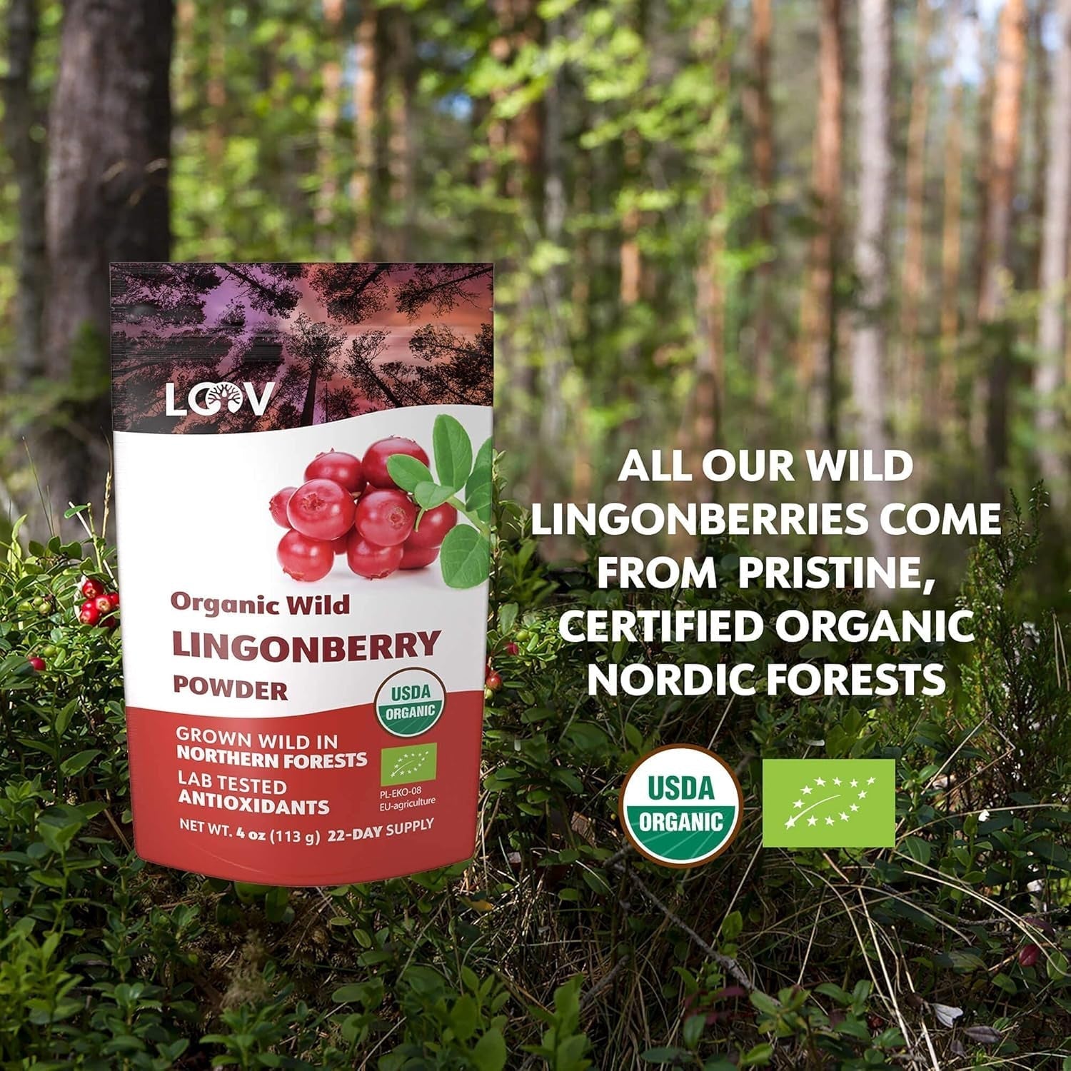LOOV organiczny proszek jagodowy, wyprodukowany w 100% z całych, liofilizowanych jagód dzikich zebranych w lasach północnej Europy, 113g, bez dodatku cukru Naty Shop Produkty Odwodnione