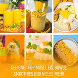 Mango liofilizowane: 100g owoców liofilizowanych z delikatnych kawałków mango bez dodatku cukru - mango suszone - mango suszone - owoce suszone - owoce suszone od NutriPur Produkty odwodnione Naty Shop