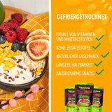 Mango liofilizowane: 100g owoców liofilizowanych z delikatnych kawałków mango bez dodatku cukru - mango suszone - mango suszone - owoce suszone - owoce suszone od NutriPur Produkty odwodnione Naty Shop