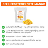 Mango liofilizowane, 250g owoców liofilizowanych, bez dodatków, owocowe, wyprodukowane w Niemczech Produkty suszone Naty Shop