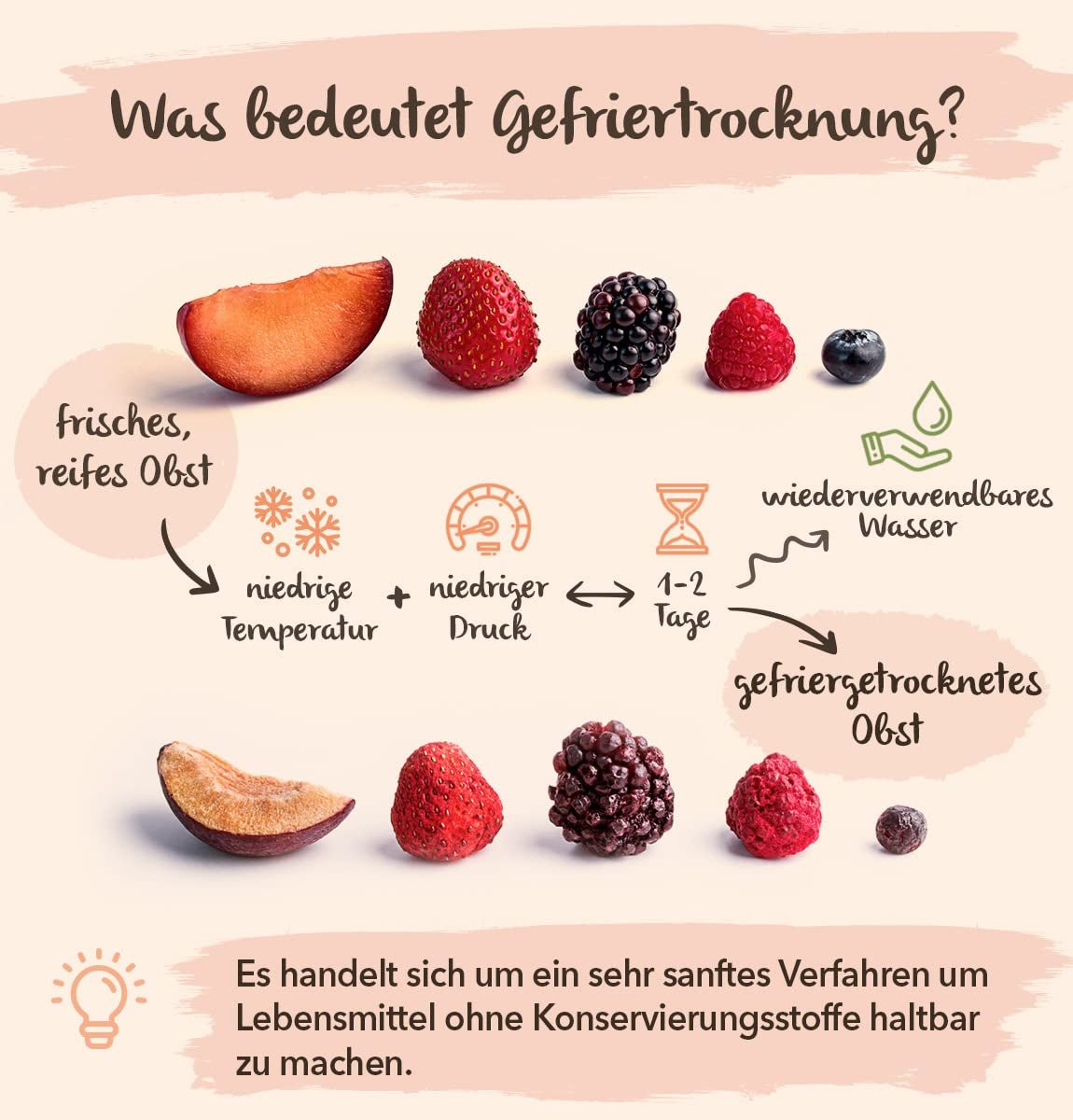 Jeżyna BRIX | Naturalne suszone jeżyny 95 g | Nagroda Great Taste dla suszonych owoców | Bez GMO, bezglutenowe, wegańskie, z konserwowanymi witaminami Naty Shop Produkty suszone