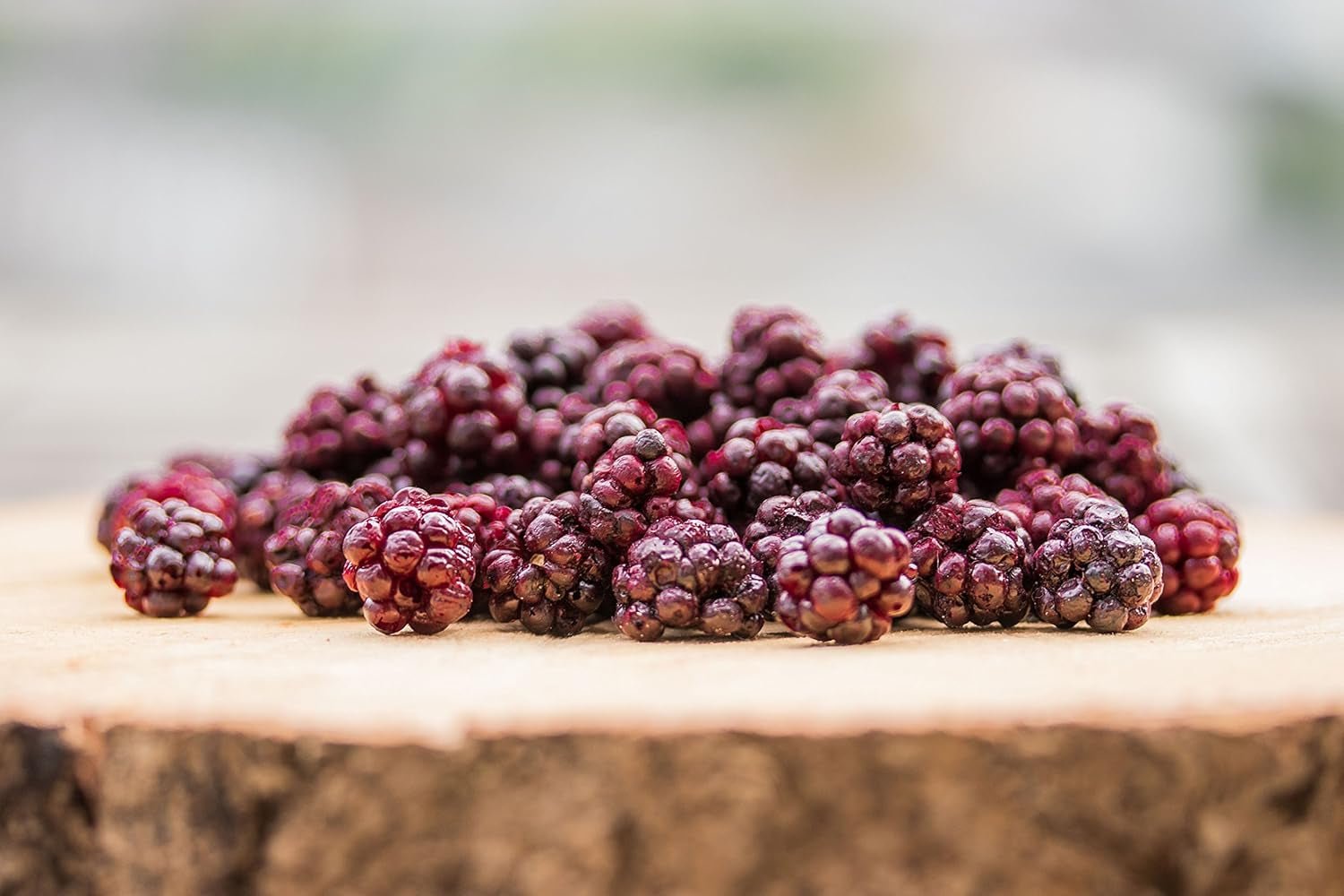 Dzikie jeżyny BRIX | Naturalne dzikie jeżyny, suszone 95 g | Nagroda Great Taste dla suszonych jagód | Bez GMO, bezglutenowe, wegańskie, z witaminami Naty Shop Produkty suszone