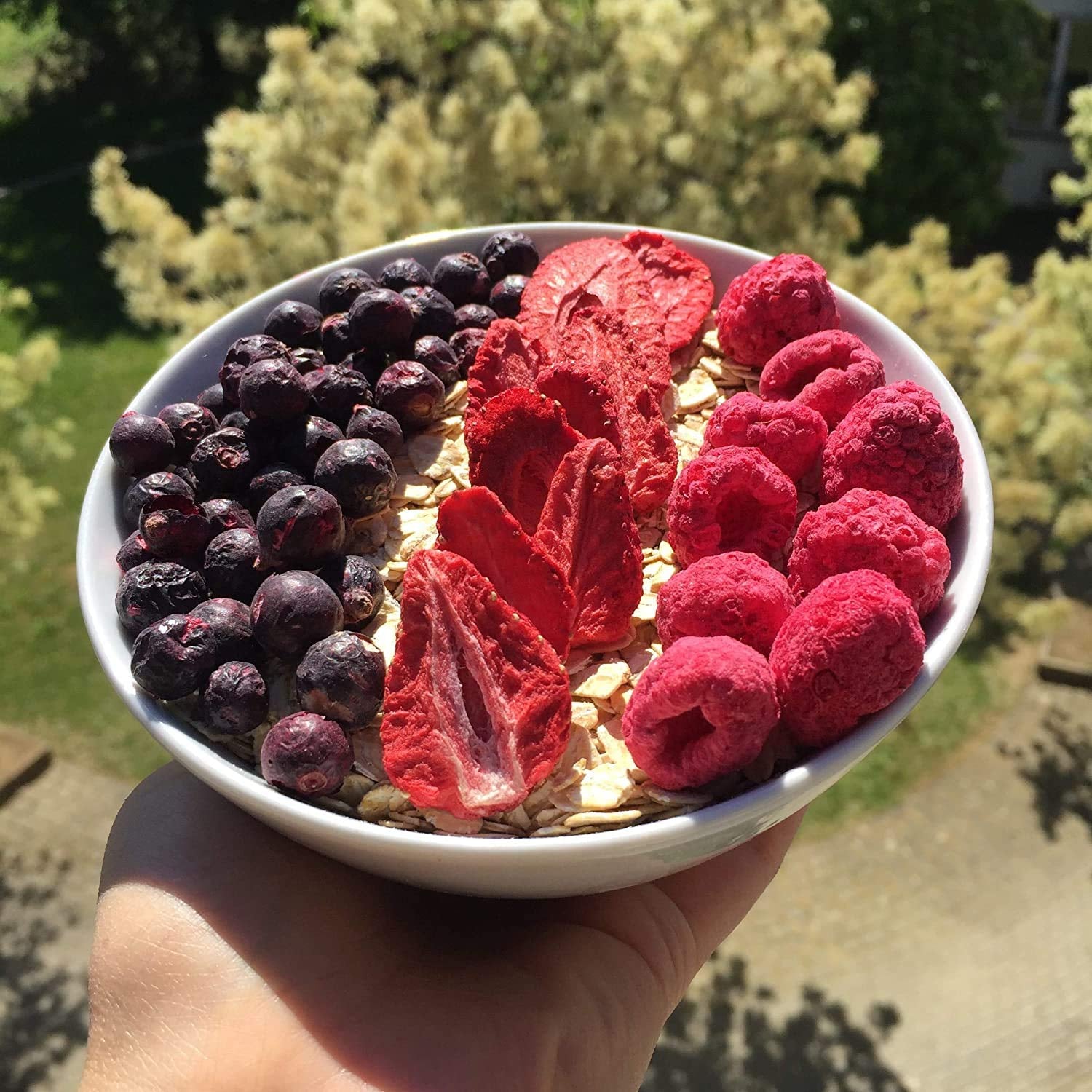 myfruits malina liofilizowana 300g bez dodatków, 100% suszona malina, owoce liofilizowane do musli lub jako przekąska... Produkty suszone Naty Shop