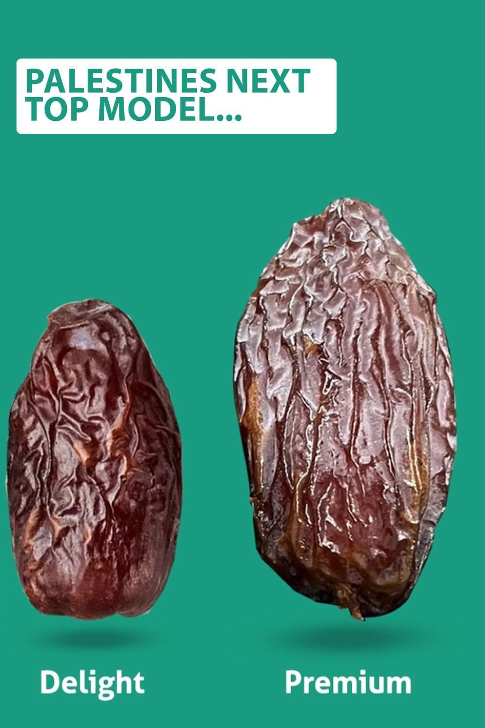 NABALI FAIRKOST FOR ALL Daktyle Medjool Medjoul z Palestyny - 100% naturalne wegańskie aromatyczne tradycyjne świeże i orientalne I bez konserwantów 5 kg (1 opakowanie), Małe/Średnie Produkty suszone Naty Shop