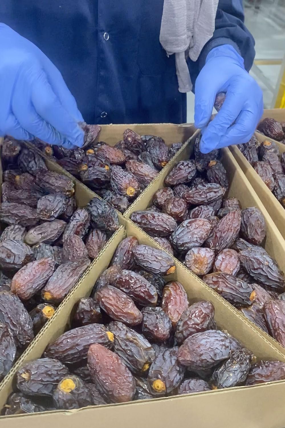 NABALI FAIRKOST FOR ALL Daktyle Medjool Medjoul z Palestyny - 100% naturalne wegańskie aromatyczne tradycyjne świeże i orientalne I bez konserwantów 5 kg (1 opakowanie), Małe/Średnie Produkty suszone Naty Shop