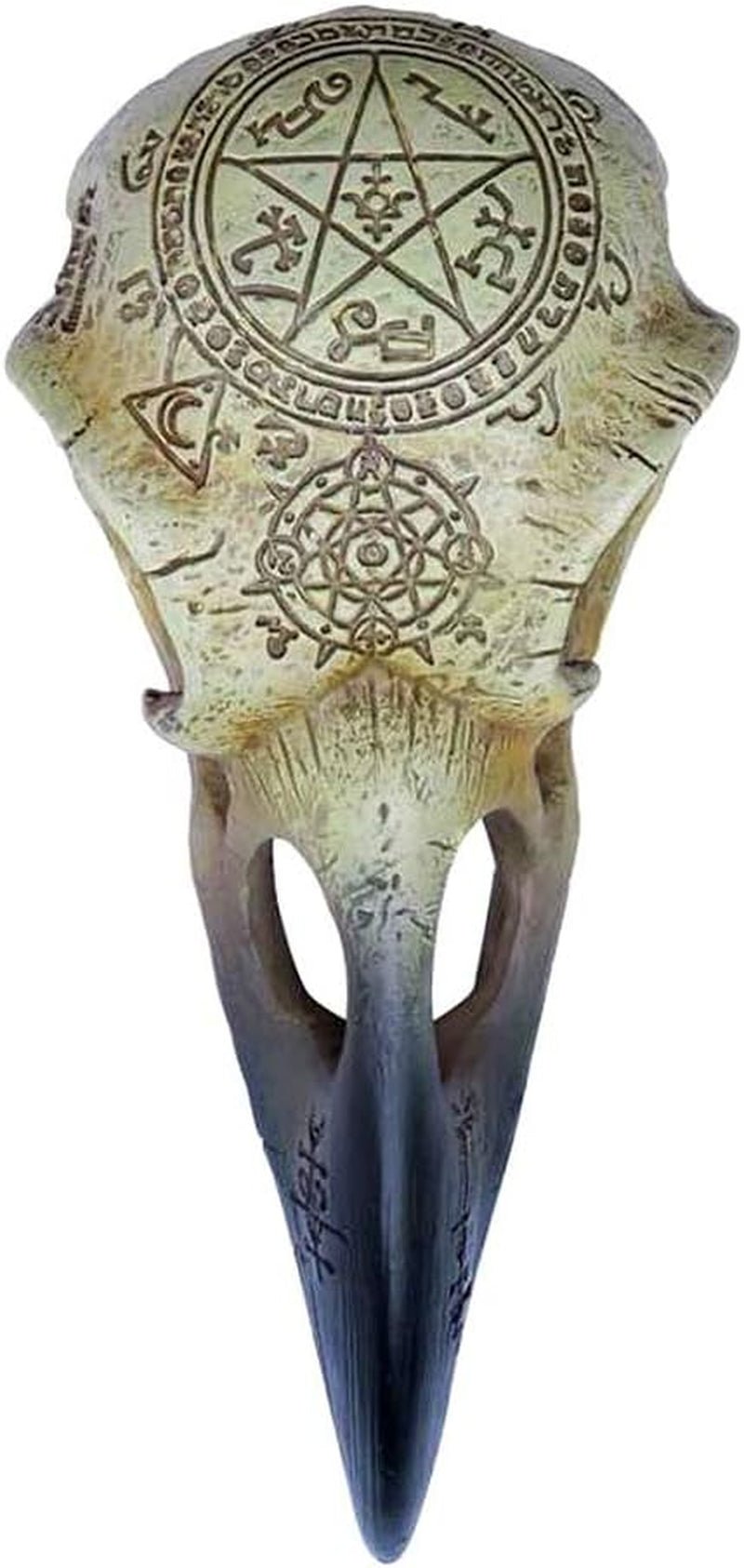Omega Raven Skull Figurki i rzeźby Naty Shop