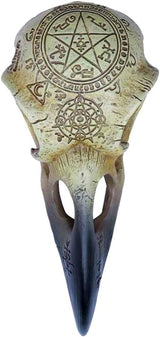 Omega Raven Skull Figurki i rzeźby Naty Shop