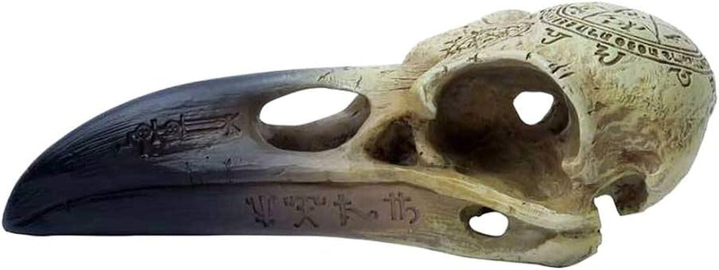 Omega Raven Skull Figurki i rzeźby Naty Shop