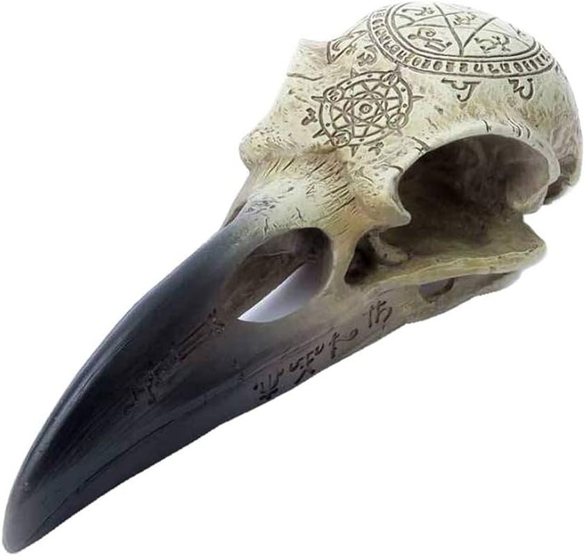 Omega Raven Skull statuetki i rzeźby Naty Shop Domyślny tytuł