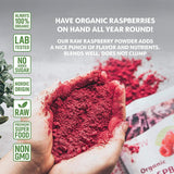 Organiczny proszek malinowy 100% całe maliny Liofilizowany proszek malinowy 171 g Z Europy Dostawa na 24 dni Bez dodatku cukru Sklep Naty Produkty suszone