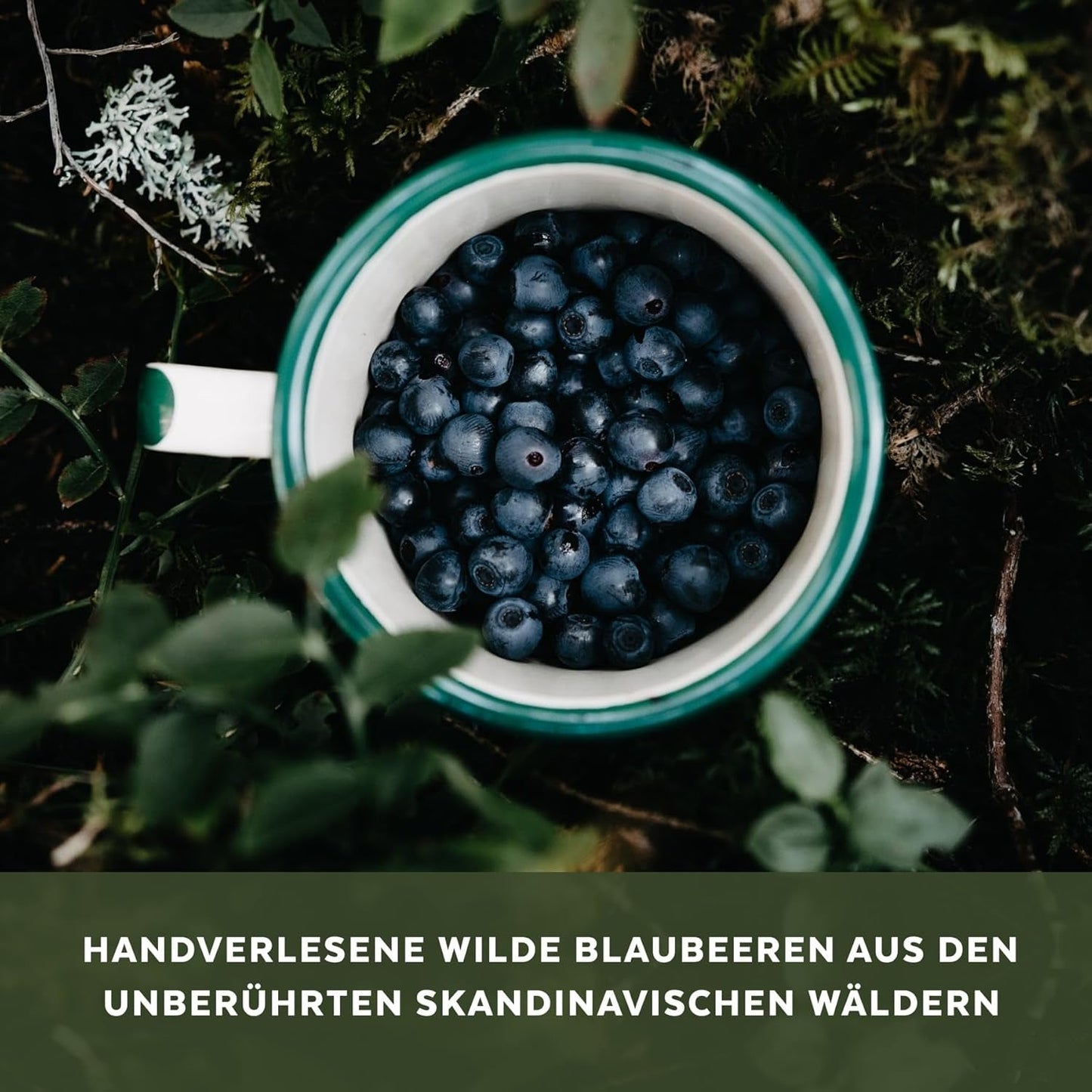 Organiczny proszek z dzikich jagód, liofilizowane całe jagody, 100% surowa jakość spożywcza, bogata w przeciwutleniacze i witaminę C, bez dodatku cukru, zbierane w Europie Północnej. Produkty suszone Naty Shop