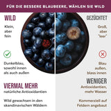 Organiczny proszek z dzikich jagód, liofilizowane całe jagody, 100% surowa jakość spożywcza, bogata w przeciwutleniacze i witaminę C, bez dodatku cukru, zbierane w Europie Północnej. Produkty suszone Naty Shop