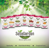 Seba Garden Premium truskawki liofilizowane, pyszne truskawki śródziemnomorskie, bez GMO i wegańskie (100 g) Produkty suszone Mój sklep