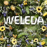 WELEDA Organic Baby Calendula Care Cream Body & Face 75ml - Krem do twarzy/krem do kosmetyków naturalnych z olejem sezamowym i lanoliną do pielęgnacji skóry suchej. Nawilżający krem ​​pielęgnacyjny dla niemowląt i dzieci Dzieci - Kąpiel i Pielęgnacja Naty Shop